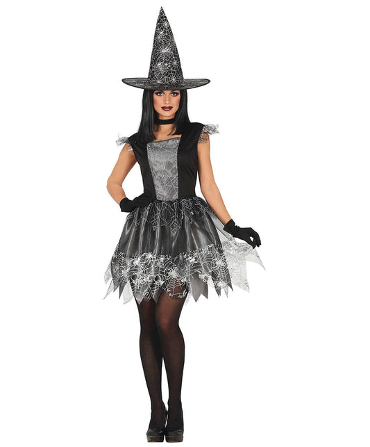 Silver Witch Costume