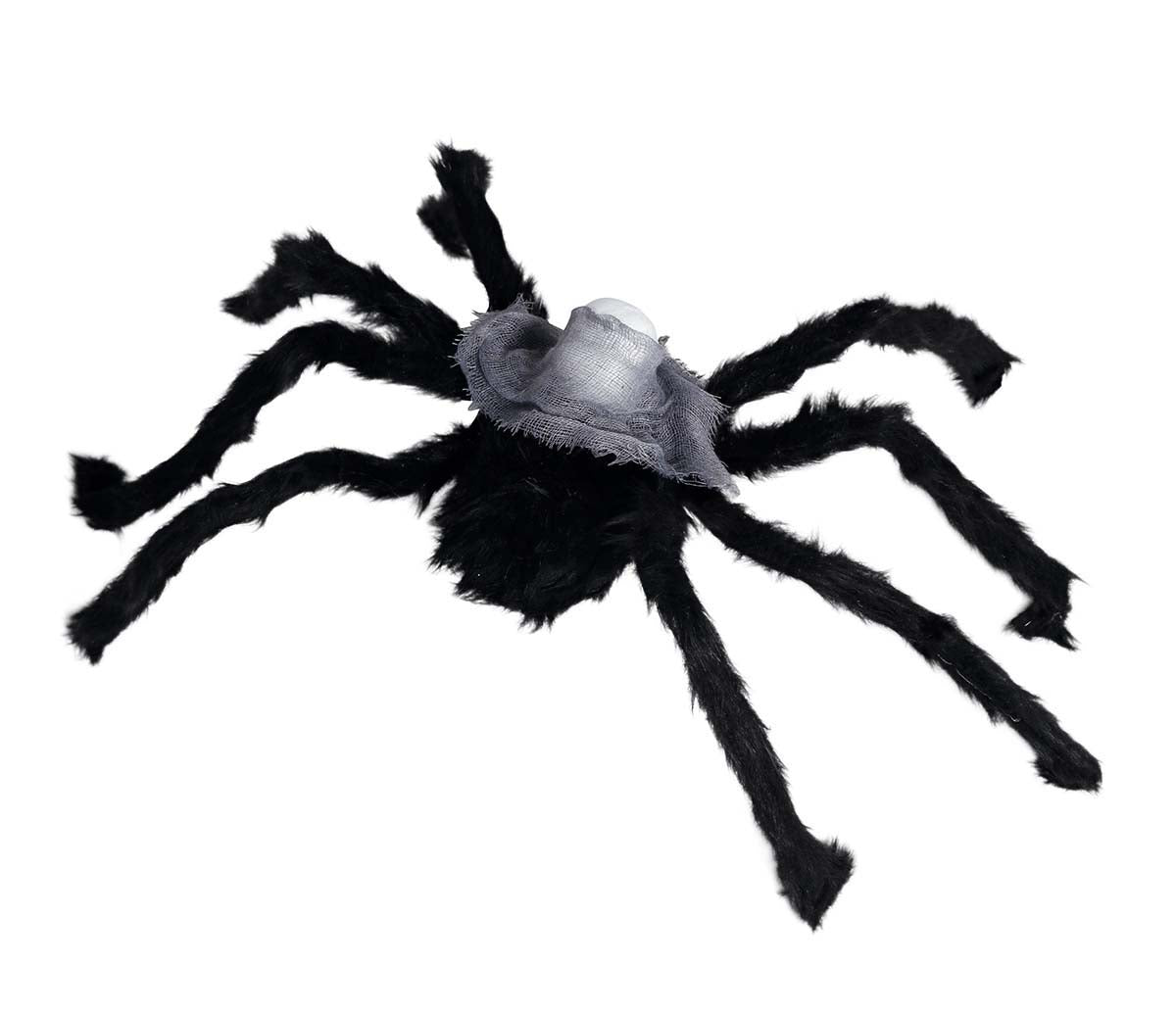 60cm Spider with Skull Head