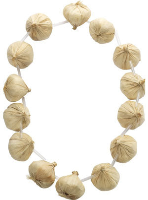 Garlic Garland. 14 Pieces on Necklace.