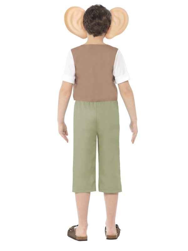 Roald Dahl BFG Costume includes top, trousers, ear headband and horn