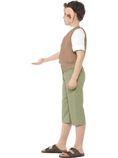 Roald Dahl BFG Costume includes top, trousers, ear headband and horn