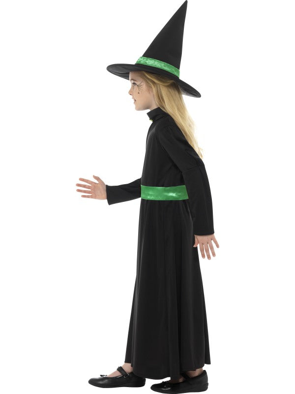 Girls Wicked Witch Halloween Costume includes dress and hat