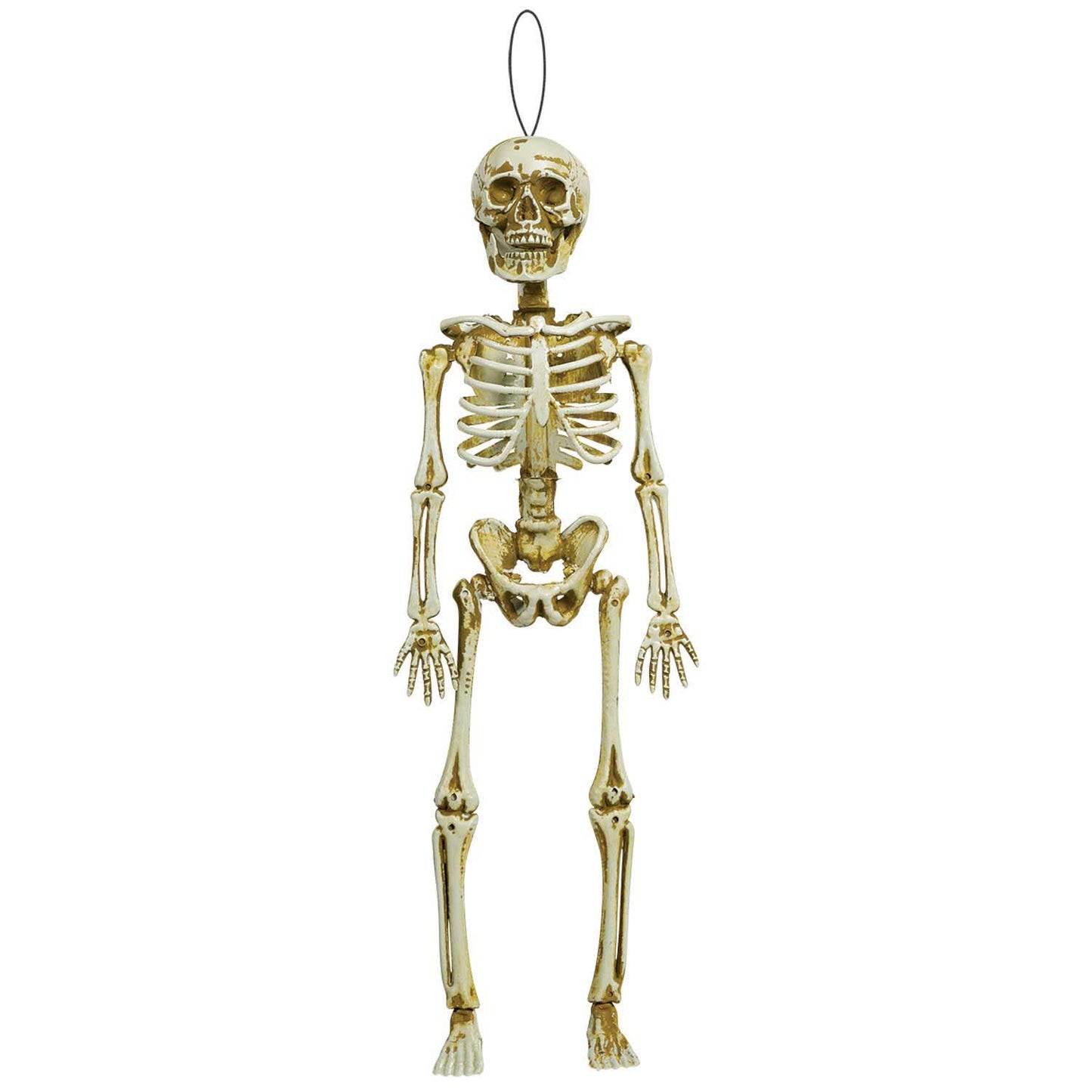 39cm Bone Hanging Skeleton