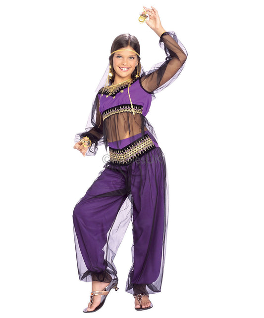 Harem Princess Costume