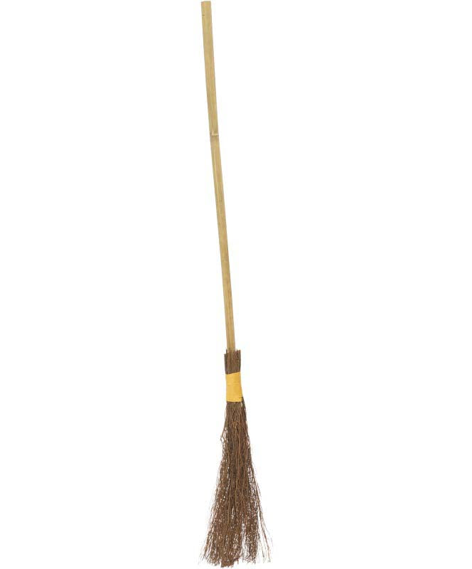 101cm Witches Broom