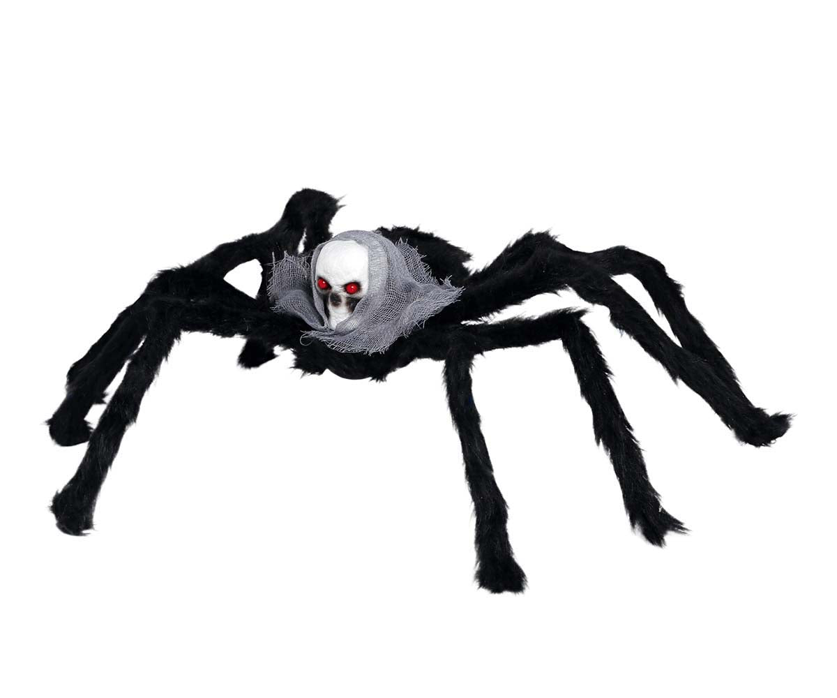 60cm Spider with Skull Head