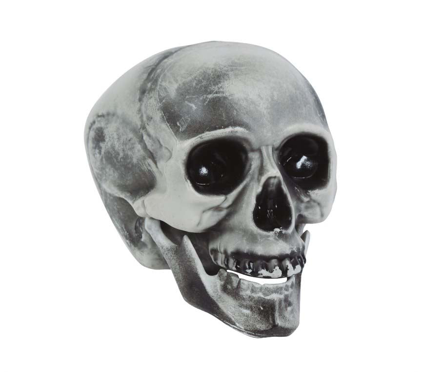 20cm PVC Skull