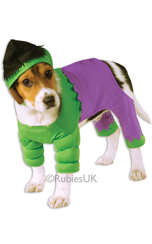 With the tell-tale mop of spiky hair, shredded shorts and muscle-bound top, it is a good move if you try not to upset your pet. As the Incredible Hulk, you have just got to hope your dogs bite is not as bad as his bark and remember, take lots of treats! Costume includes pet jumpsuit with headpiece.