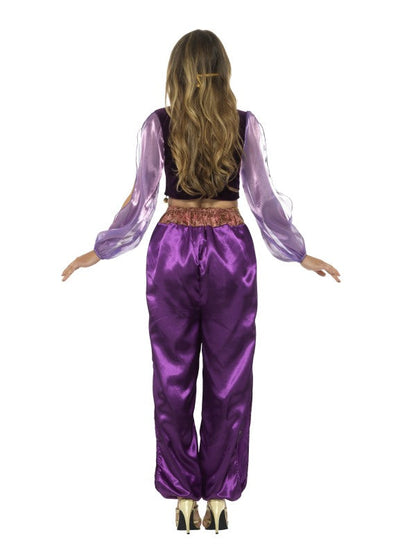Ladies Arabian Princess Costume includes trousers| top and face veil
