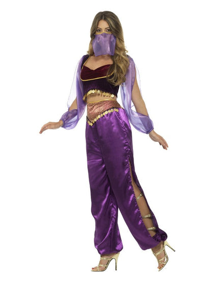 Ladies Arabian Princess Costume includes trousers| top and face veil
