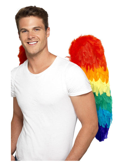 Feather Wings, Rainbow, 60cm x 60cm