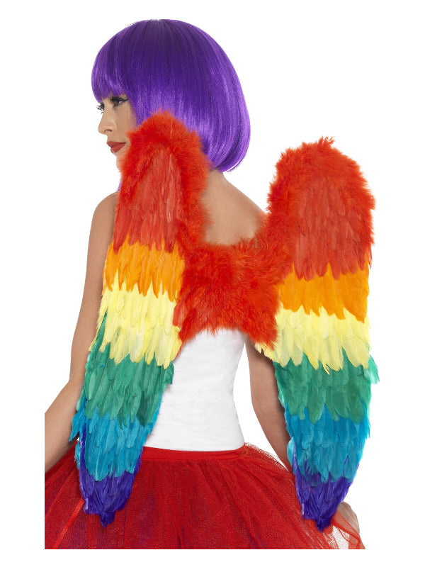 Feather Wings, Rainbow, 60cm x 60cm